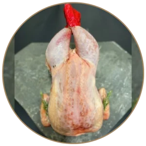 Gallina grande pulita a busto – 3,2 kg
