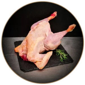 Gallina piccola pulita a busto – 1 kg