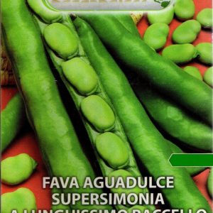 FAVA AGUADULCE SUPERSIMONIA A LUNGHISSIMO BACCELLO 500 gr.