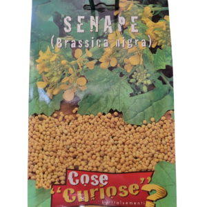 Semi di senape