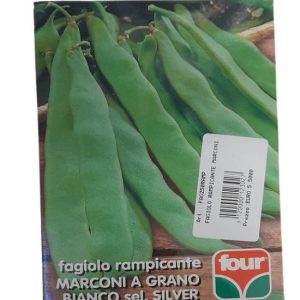 Semi di fagiolo rampicante Marconi a grano bianco selezione Silver – Four