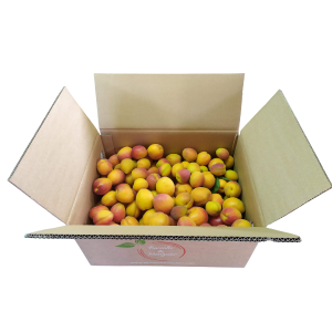 Confezione 6kg Albicocche Imperfette