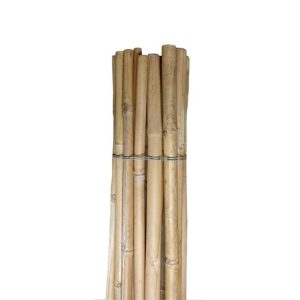 25 Canne di bamboo 2,10 metri | ∅ 22/24 mm. Spedizione Gratuita!