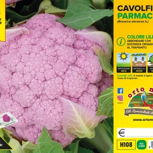 Cavolfiore LILLA