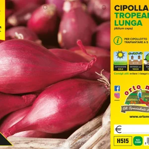Cipolla LUNGA DI TROPEA