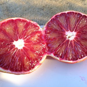 Orange Sanguigne x Citron Meyer (Citrus sinensis x Citrus meyerii)