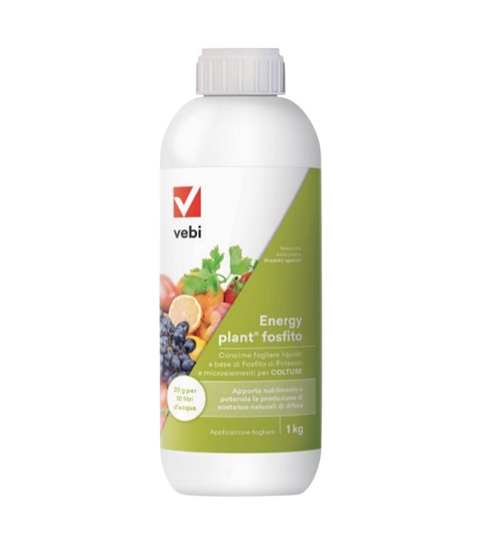 Energy Plant Fosfito 1 kg – Vebi