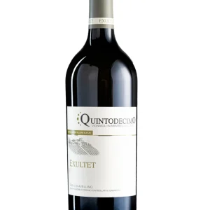 Fiano di Avellino DOCG “Exultet” 2023 – Quintodecimo