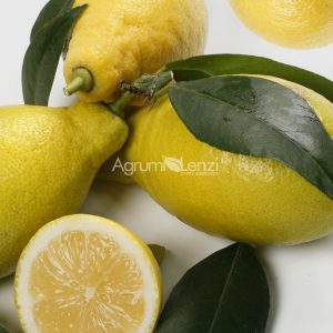 Limone Lunario (Citrus limon)