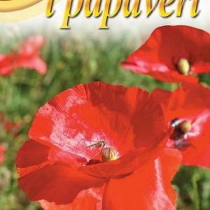 PAPAVERO Glaucum Red