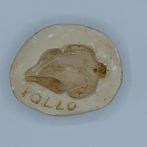 Stampo in Gesso- Pollo